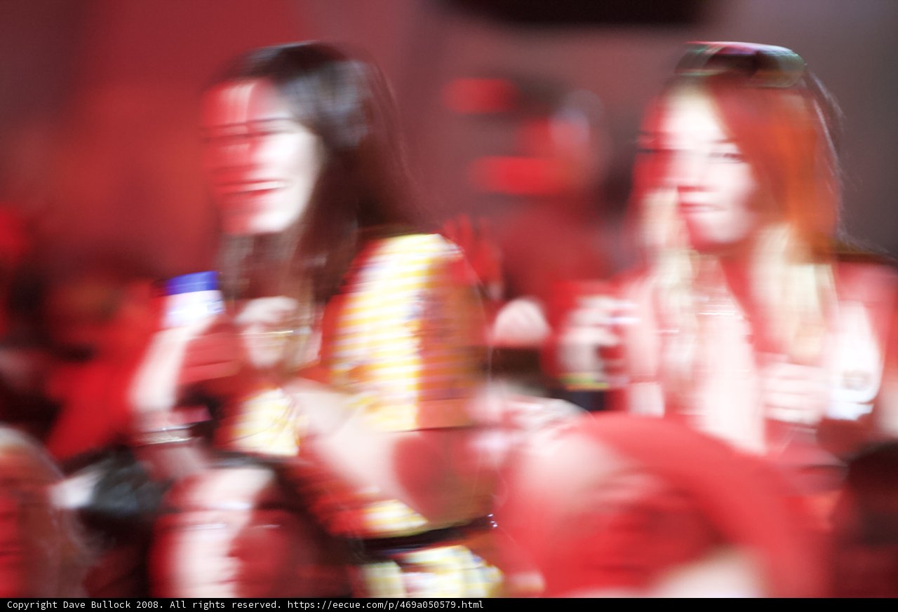 Blurry Concert Buddies