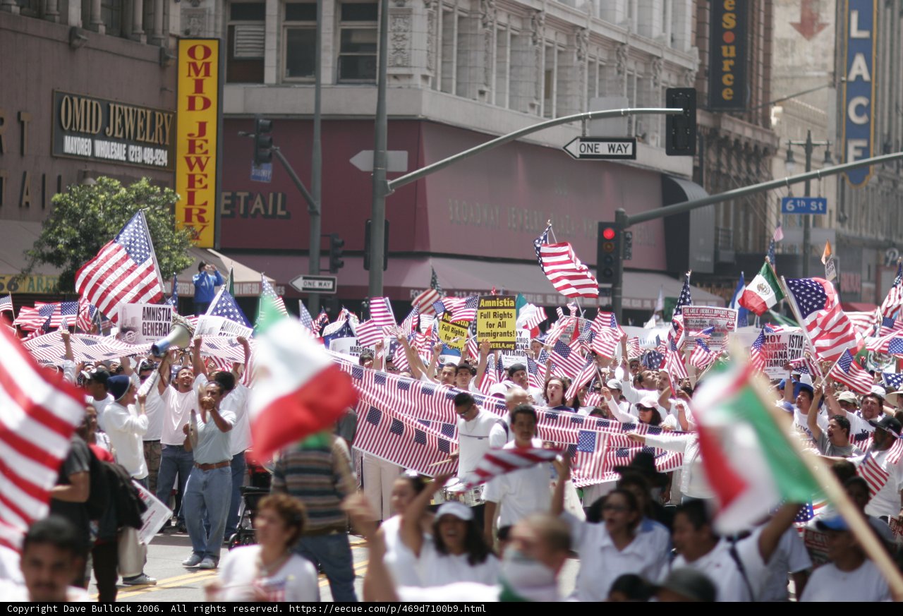 United in Flags