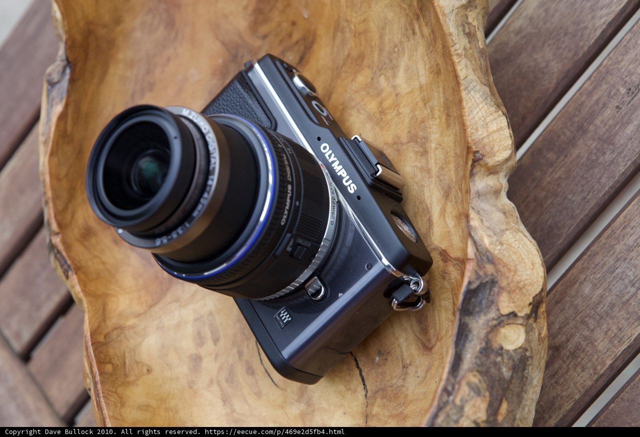 Camera on a Wooden Bowl