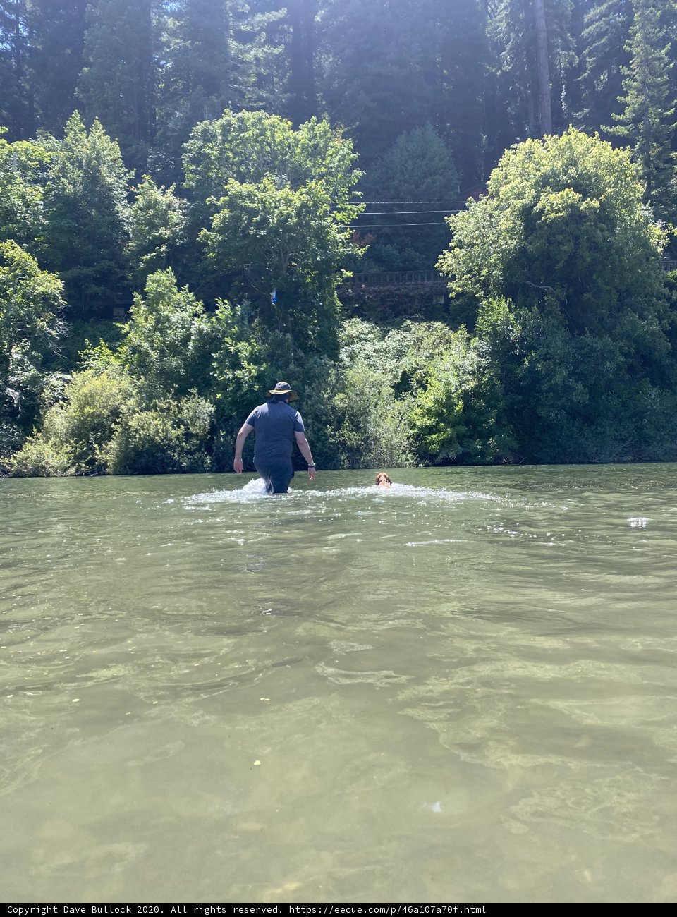 Forest Lake Adventure