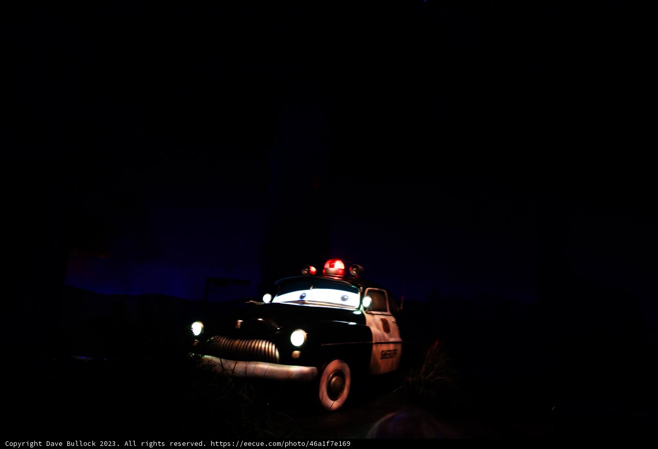 Patrolling the Magical Kingdom
