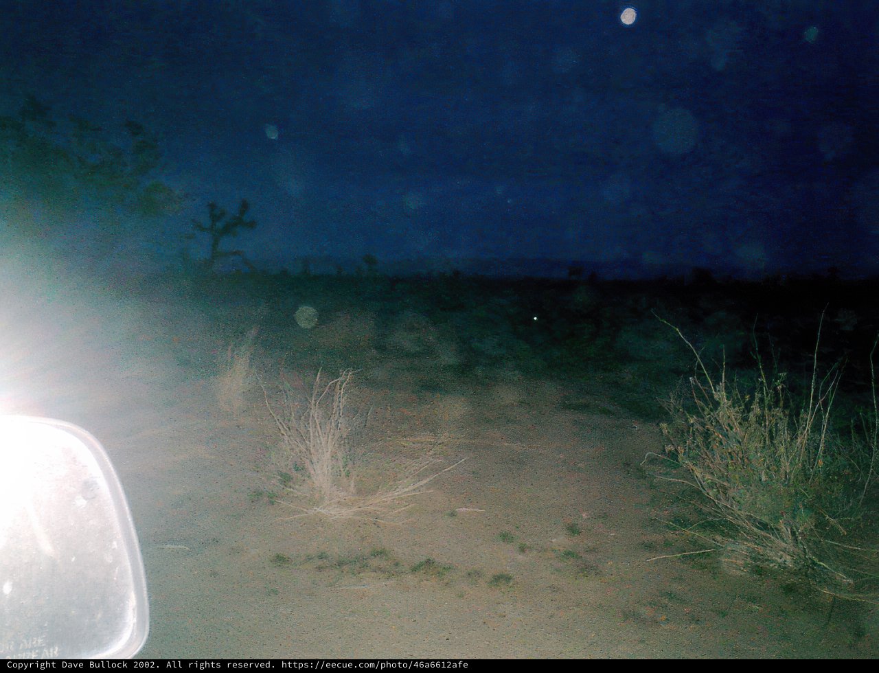 Night Ride through the Desert