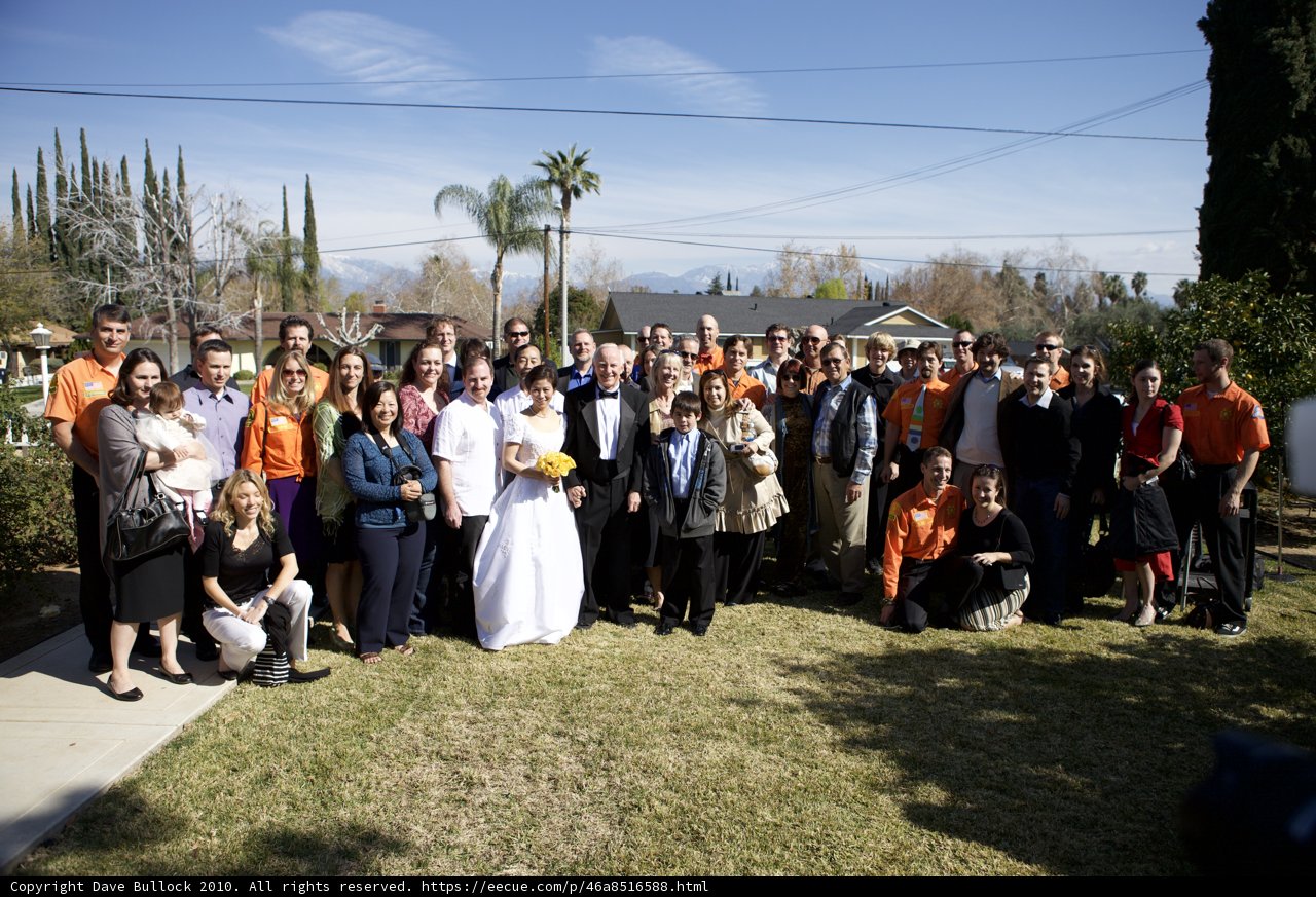 A Picture-Perfect Wedding