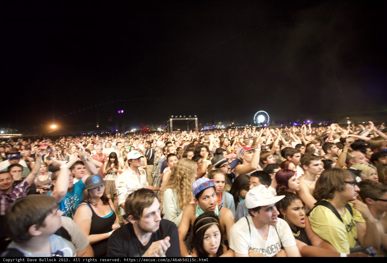 Concertgoers under the Starry Night