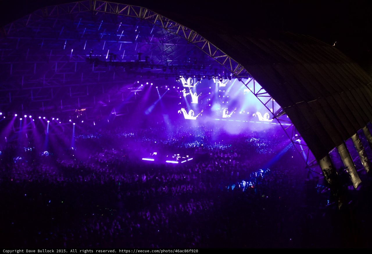Purple Haze