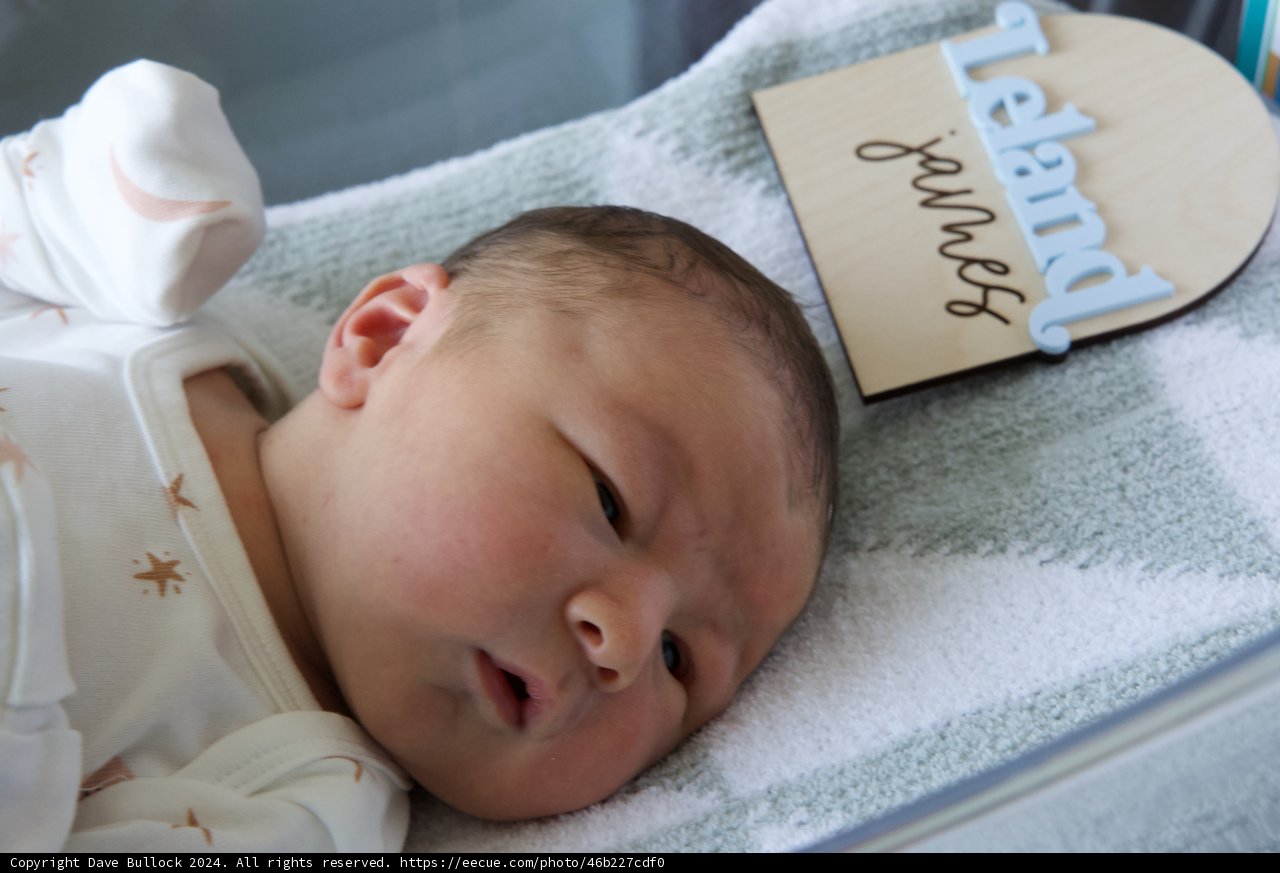 Welcome to the World, Leland