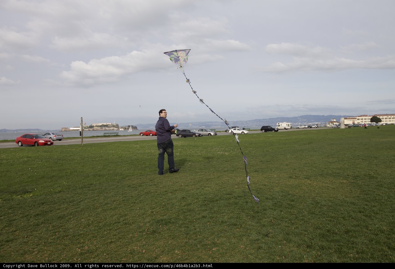 Kite-Flying Fun in the Field
