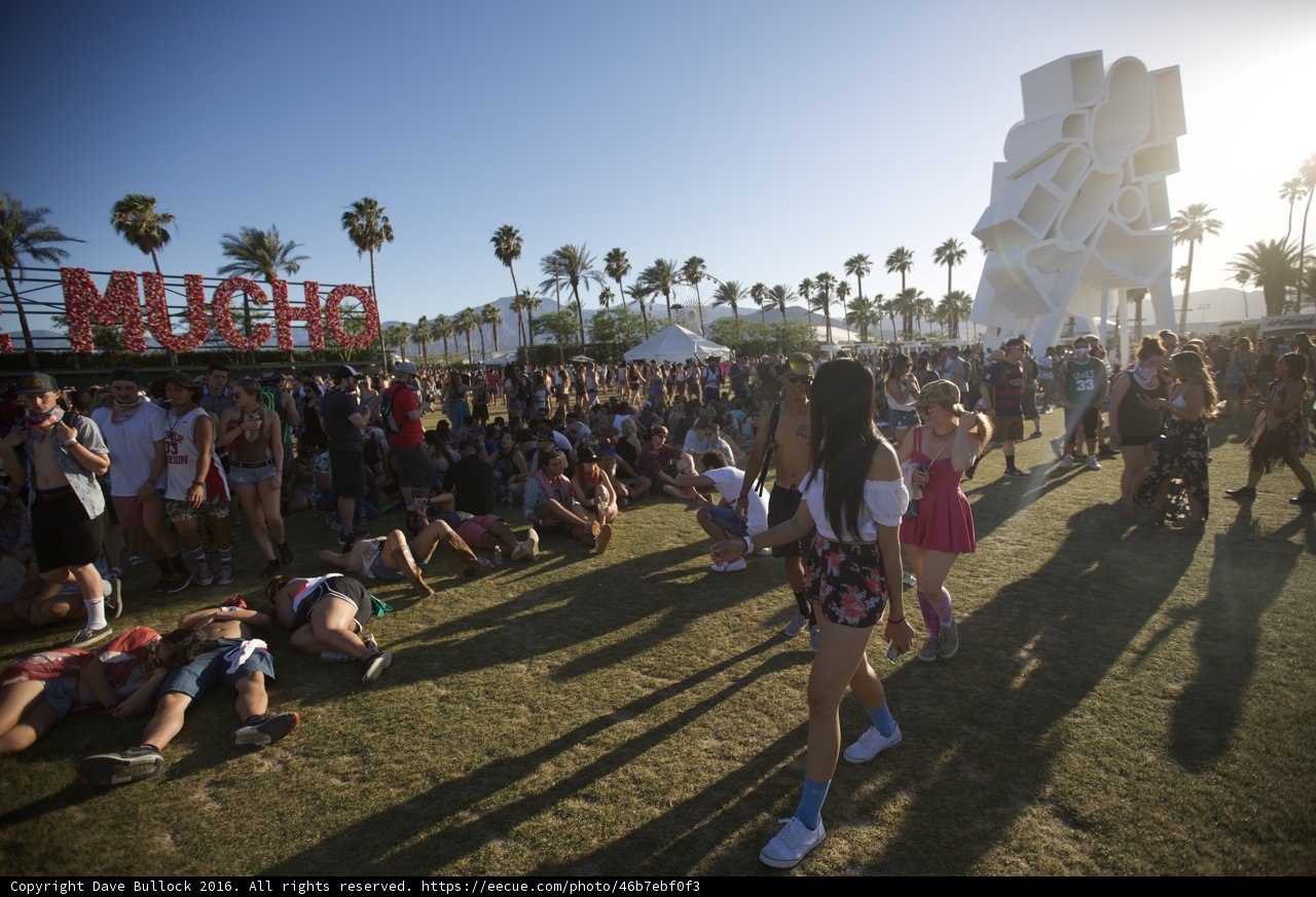 Festival Fun in the Sun