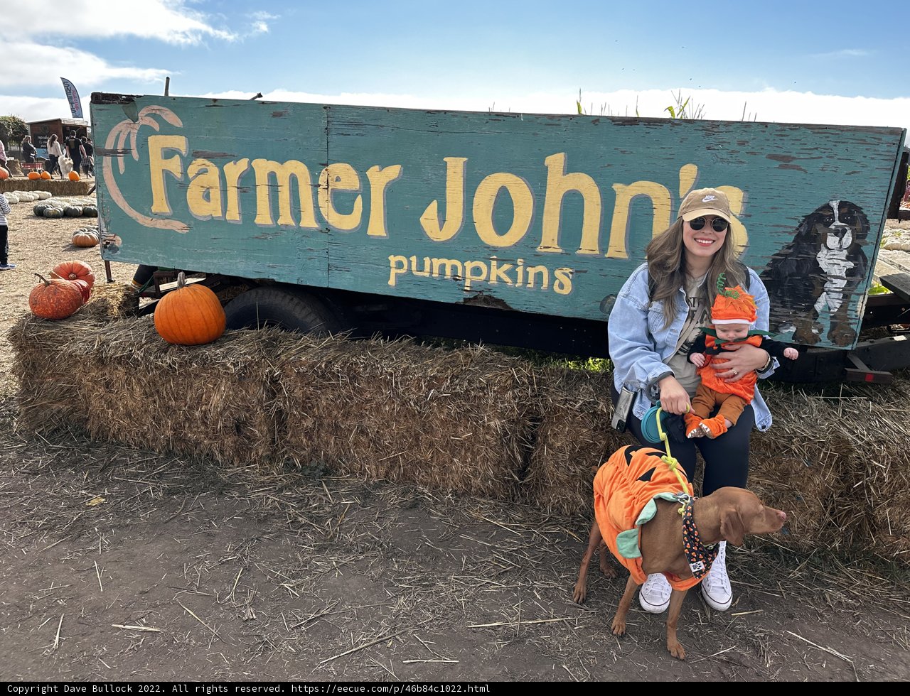 A Visit to Farmer John's Pumpkin Patch