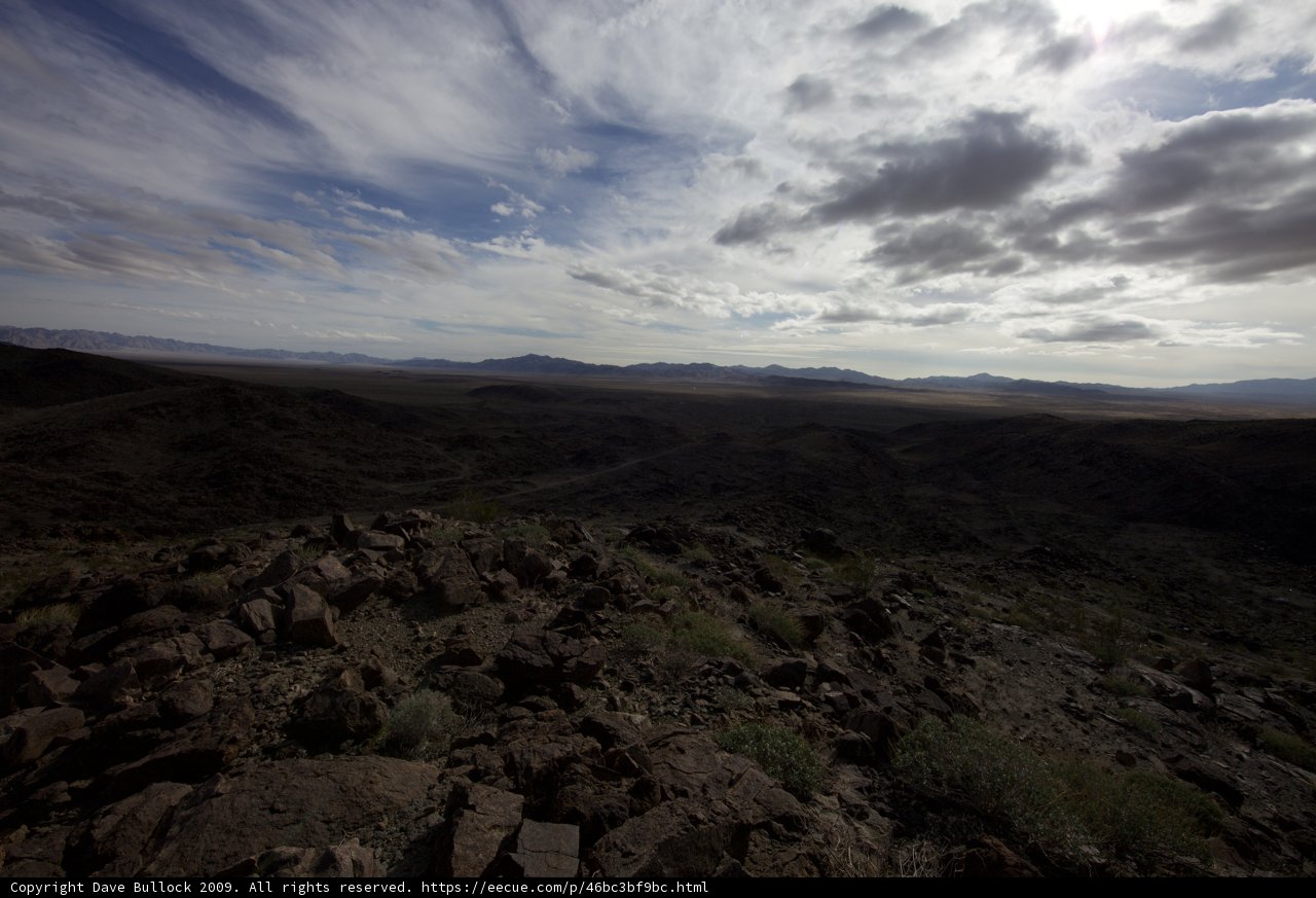 Scenic View of the Joshua Tree Desert Plateau