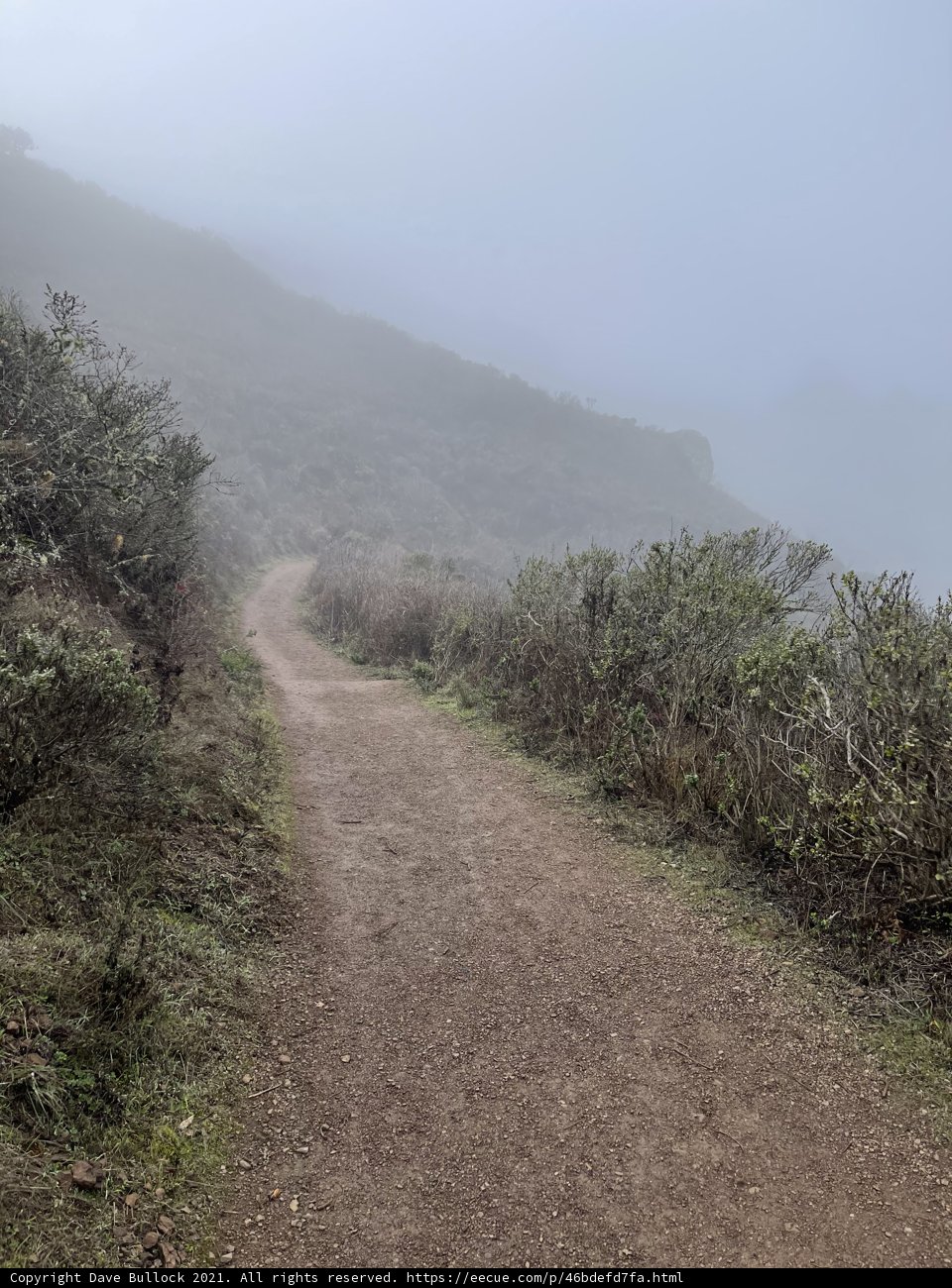 A Foggy Path to the Mountain