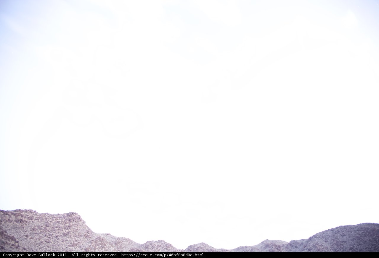 Soaring Sky High in the Desert