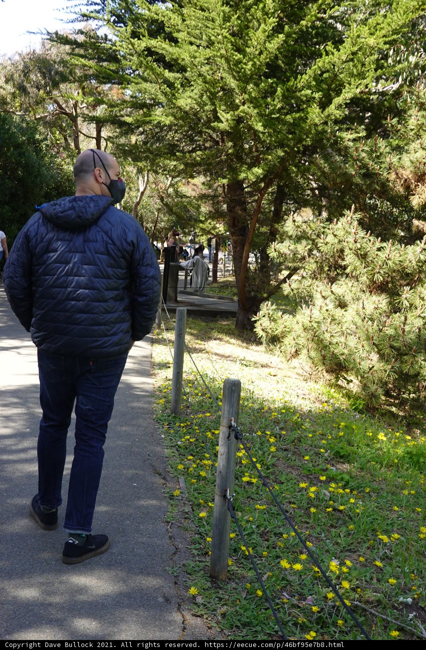 Journey through the Woodland