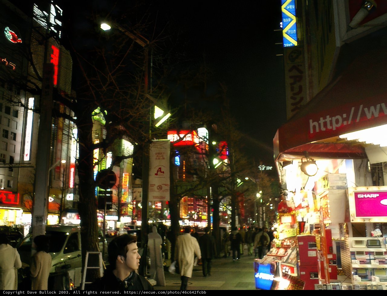 Busy Nightlife in Tokyo's Metropolis