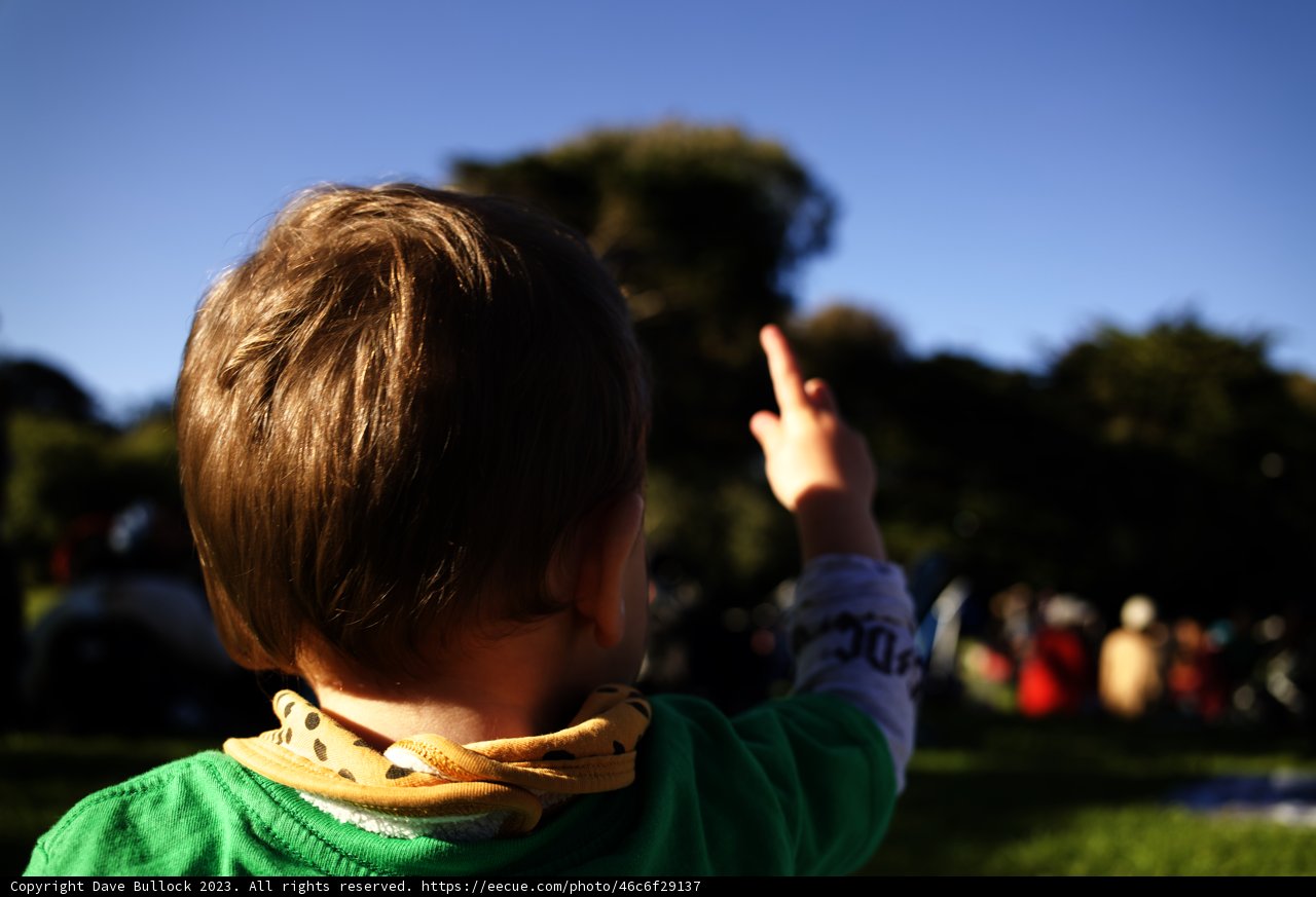 Discovery in the Park