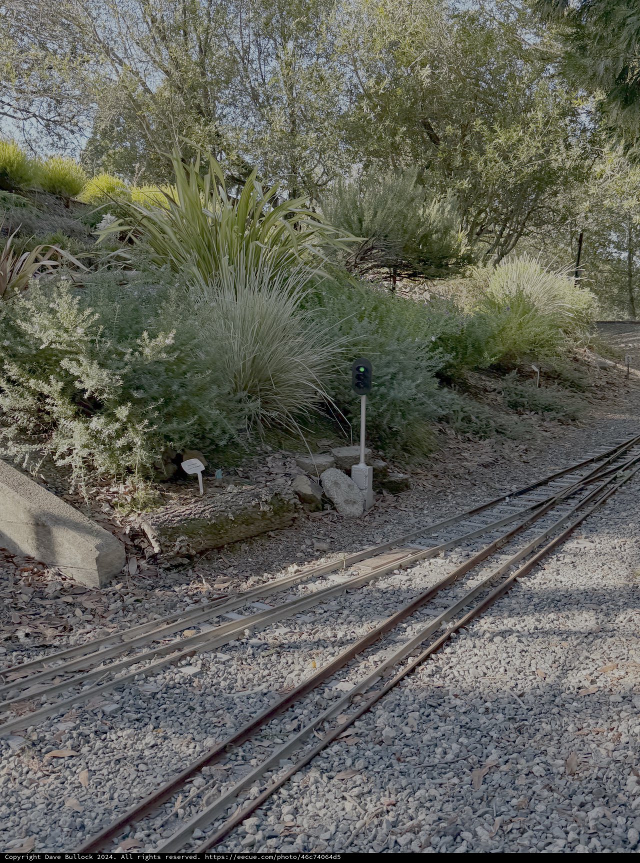 Desert Railway Track Through Native Landscape