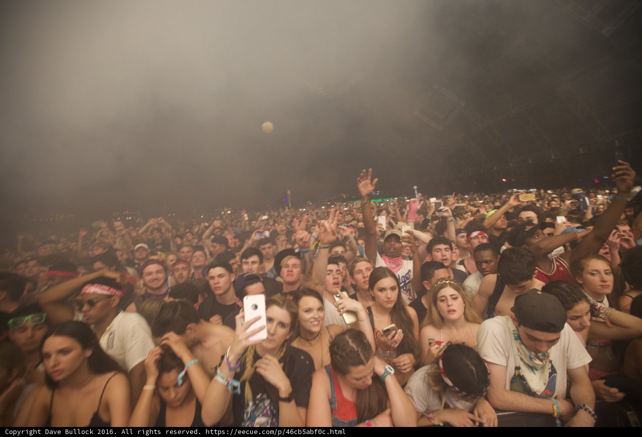 Coachella Concert Crowd