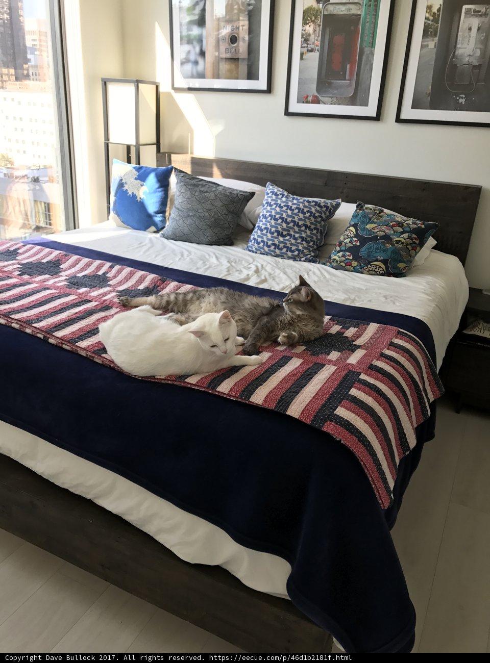Feline Friends on the Bed