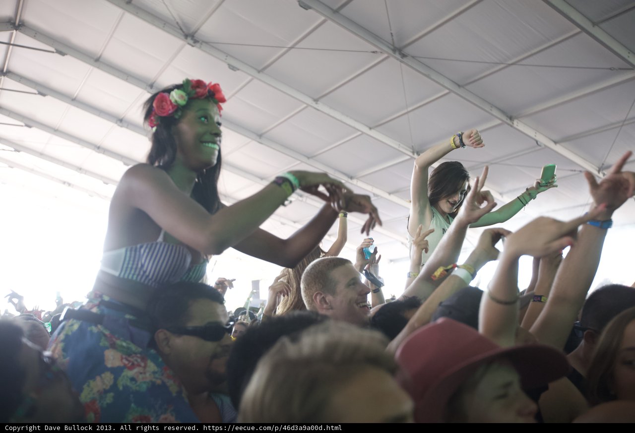 Festival Frenzy