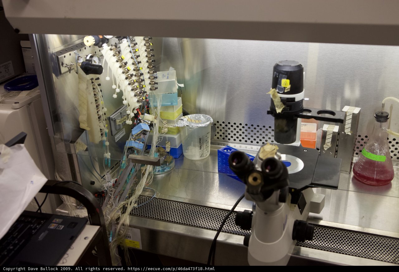 Inside the Micro Bio Chip Lab