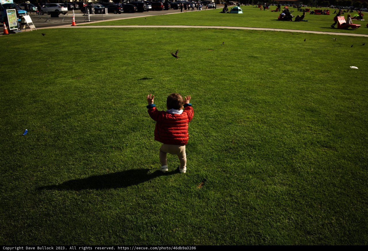 The Joy of Flight: Summer Afternoon in Presidio Park
