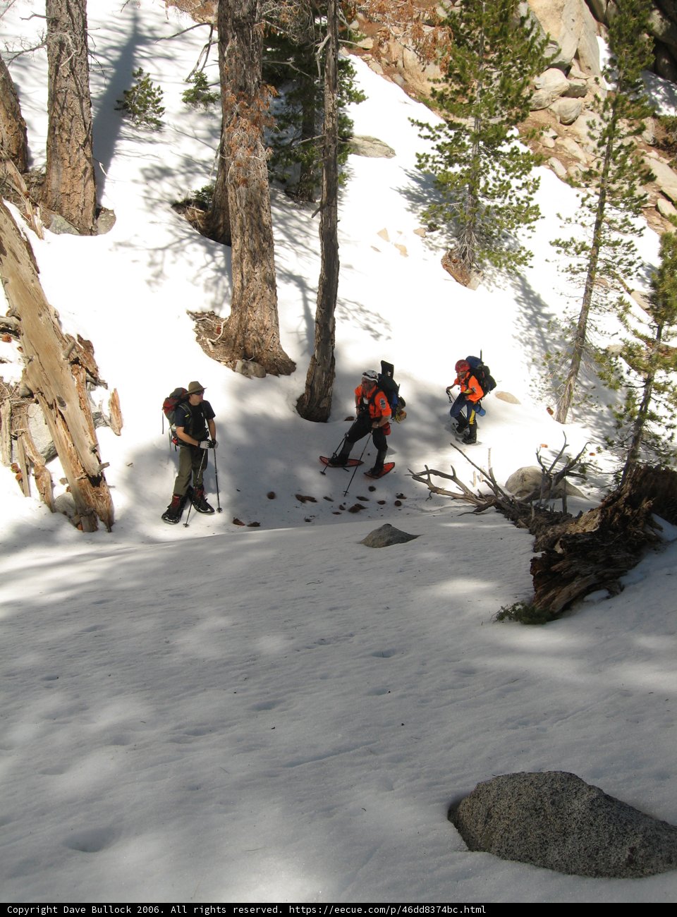 Skiing Adventure in the Snowy Mountains