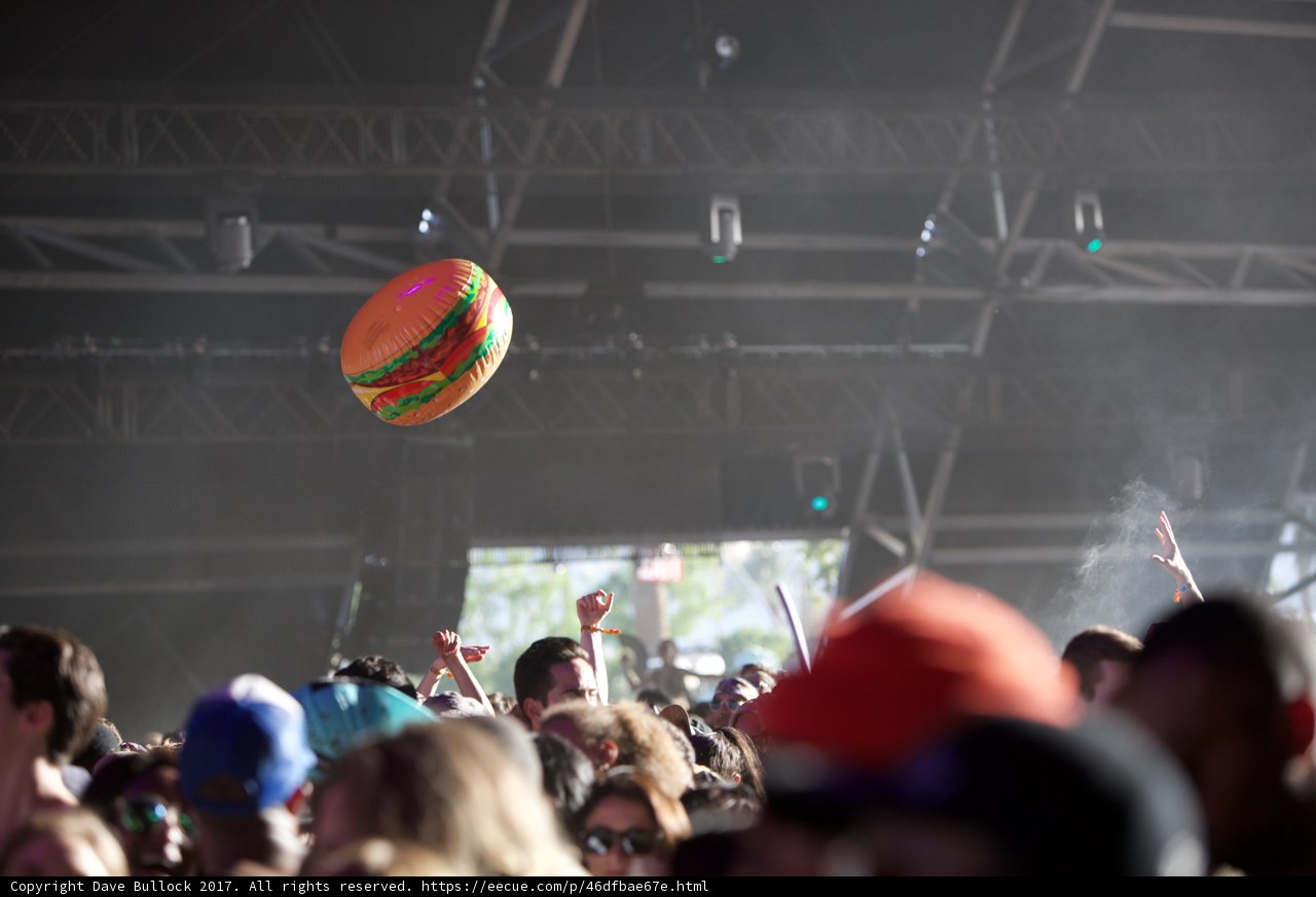 Spirited Crowd at Coachella