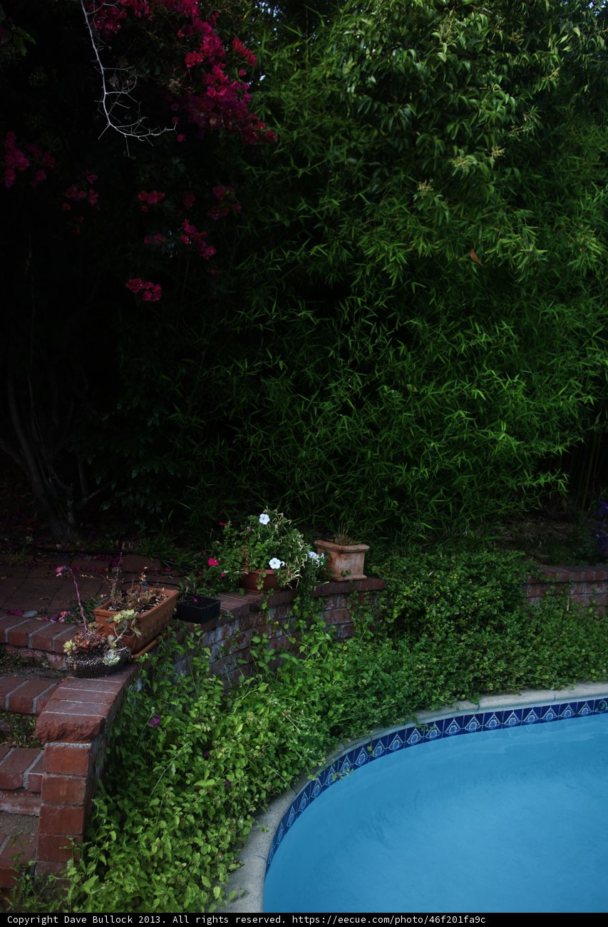 Oasis in the Backyard