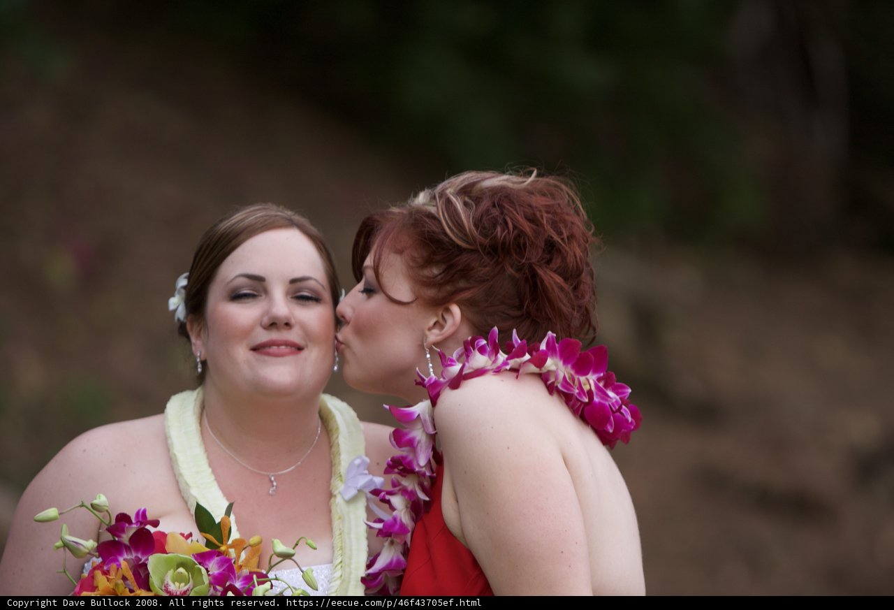 Double Brides