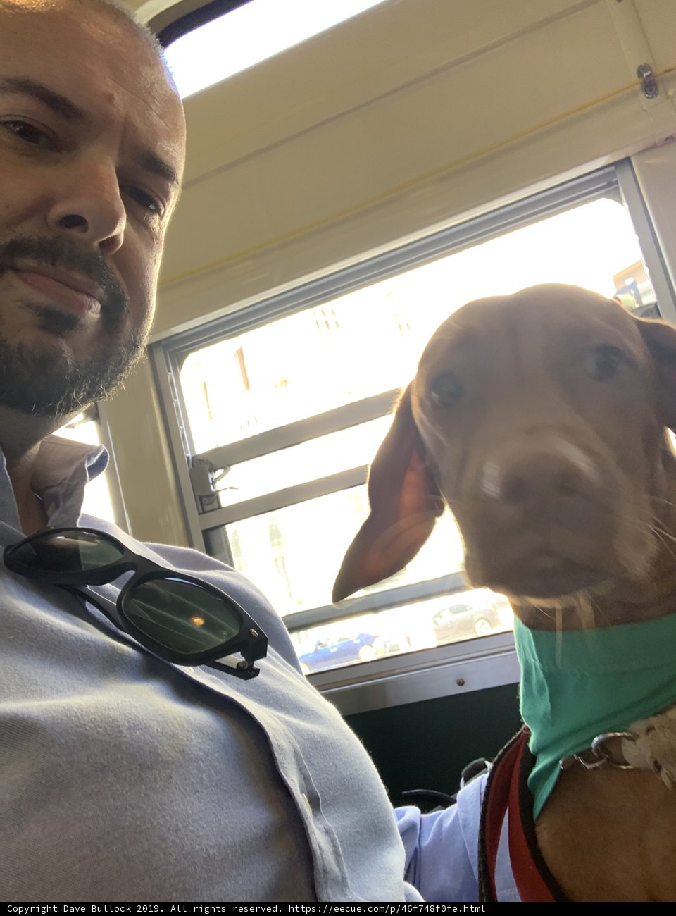 Man's Best Friend on the Ride