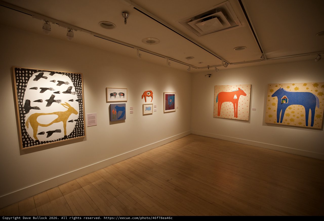 Contemporary Indigenous Art Exhibition in Gallery Space