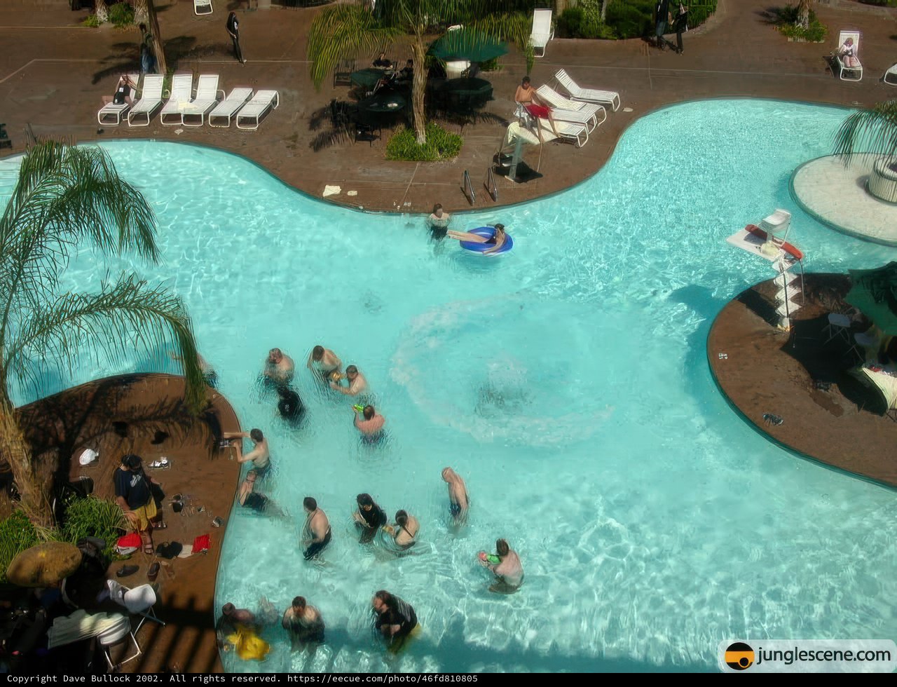 Pool Party Paradise