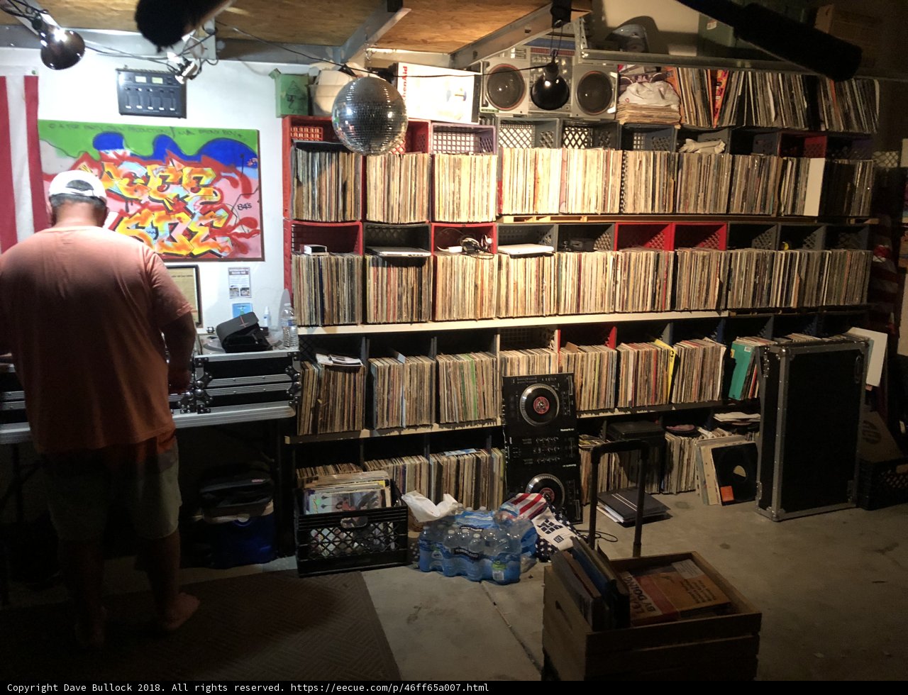 The Vinyl Collection