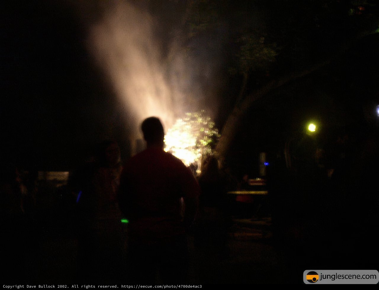 Nighttime Bonfire