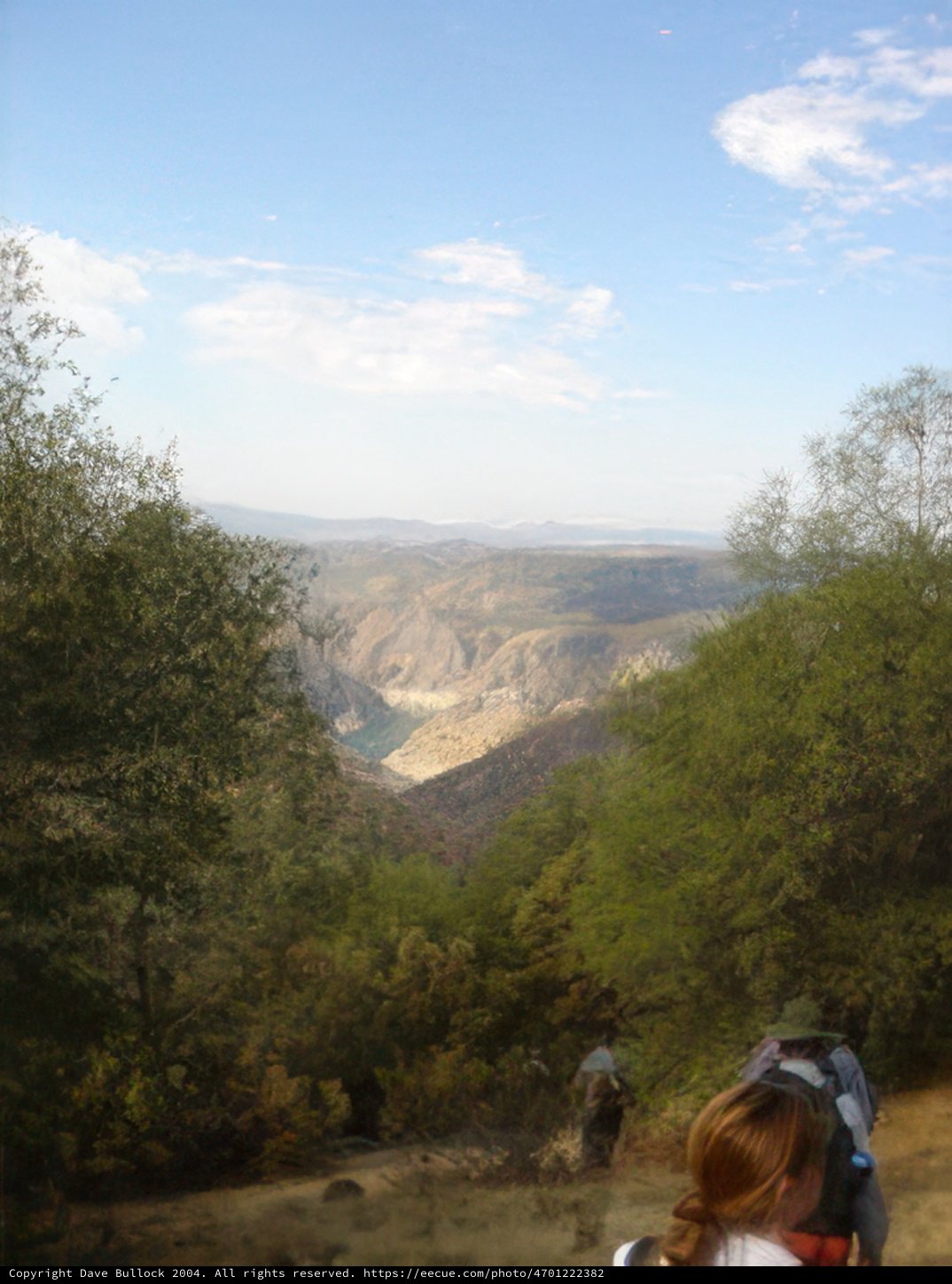 Wild Adventure in the Valley