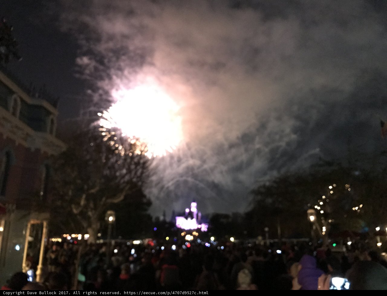 Disneyland Fireworks Spectacle