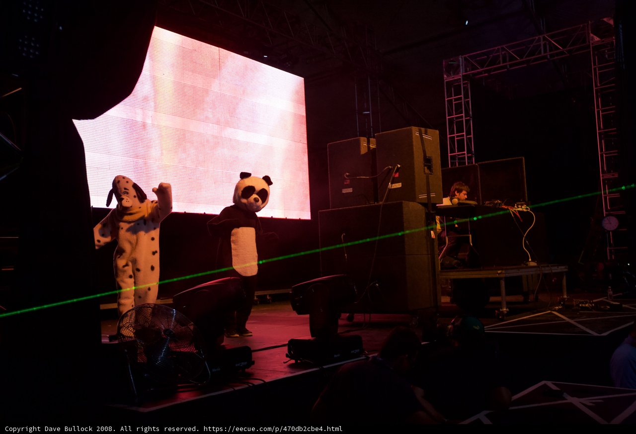 Panda Rockstar on Stage