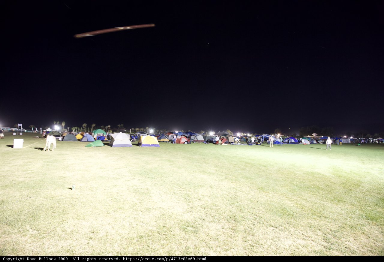 Night Gathering in the Grass