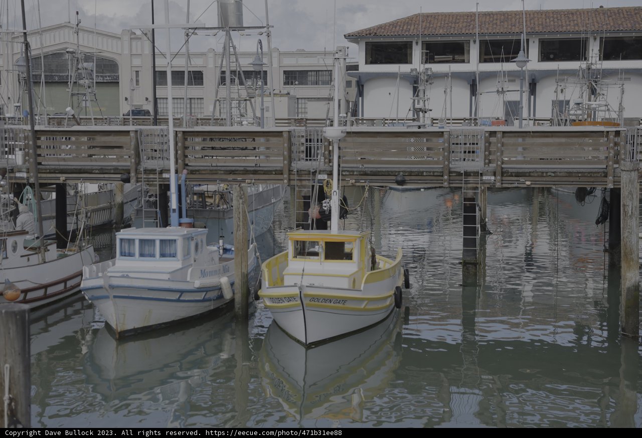 Boats at the Harbor