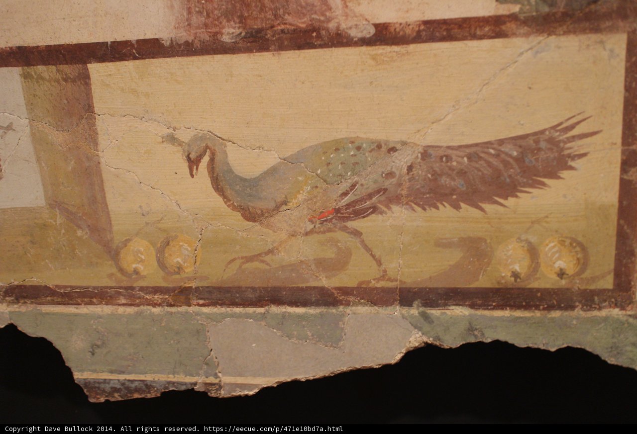 Ancient Bird Pictured with its Clutch