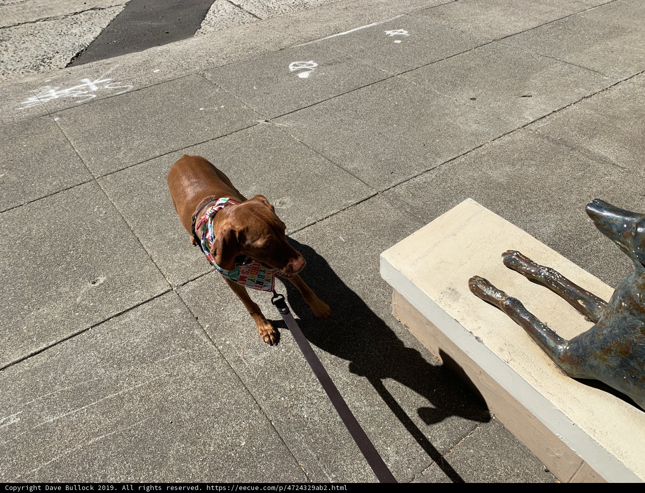 A Canine Stroll Next to a Statue