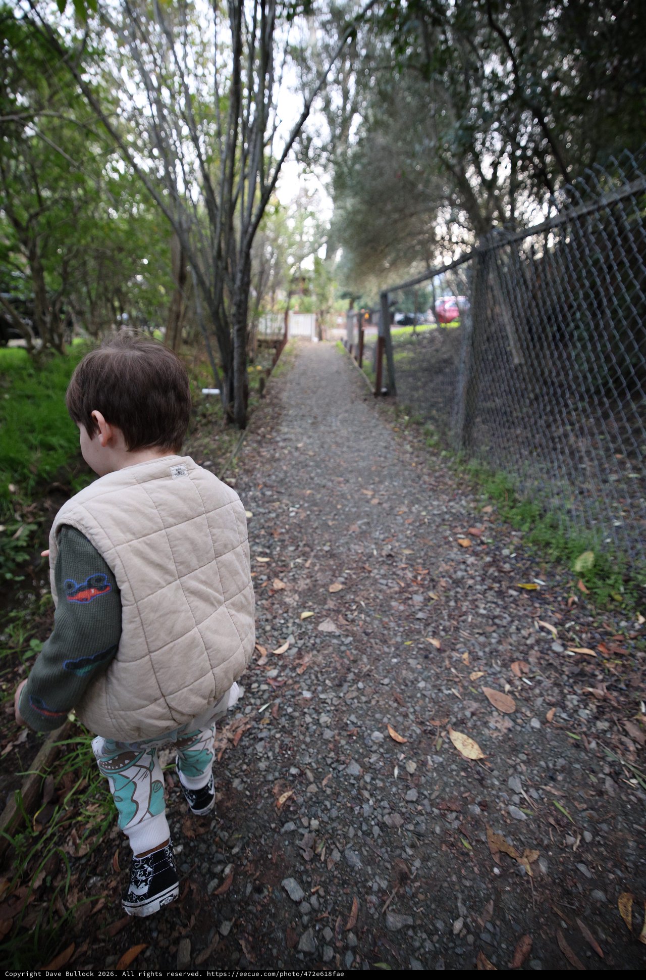 Young Child Gazing Down Autumn Path at Dusk