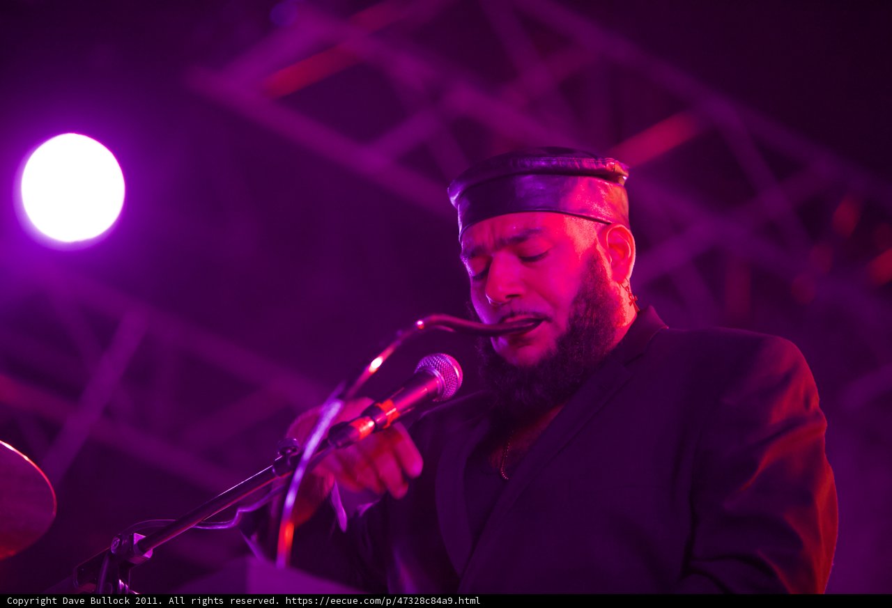 Spotlight on the Musician