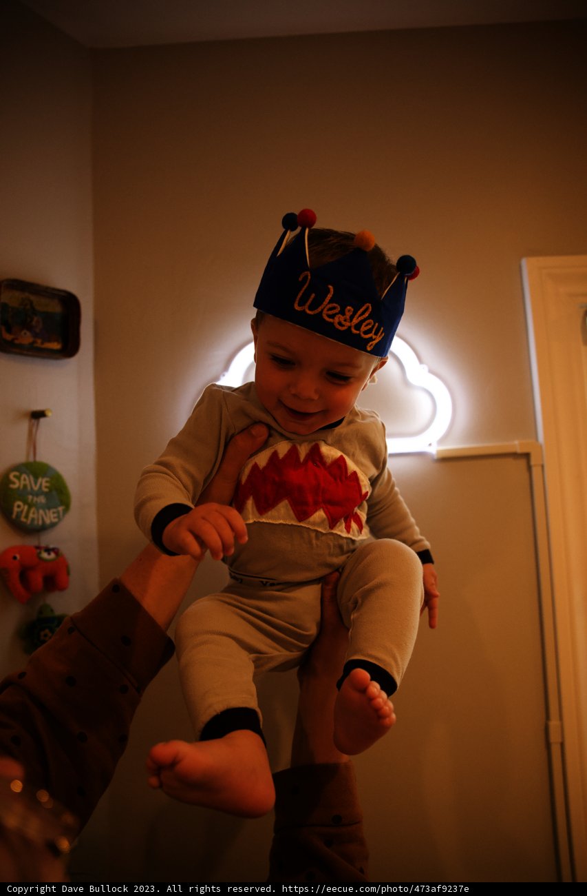 Wesley's First Birthday: Baby Shark Adventure