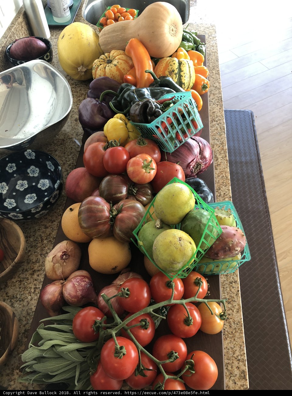 Fresh Harvest