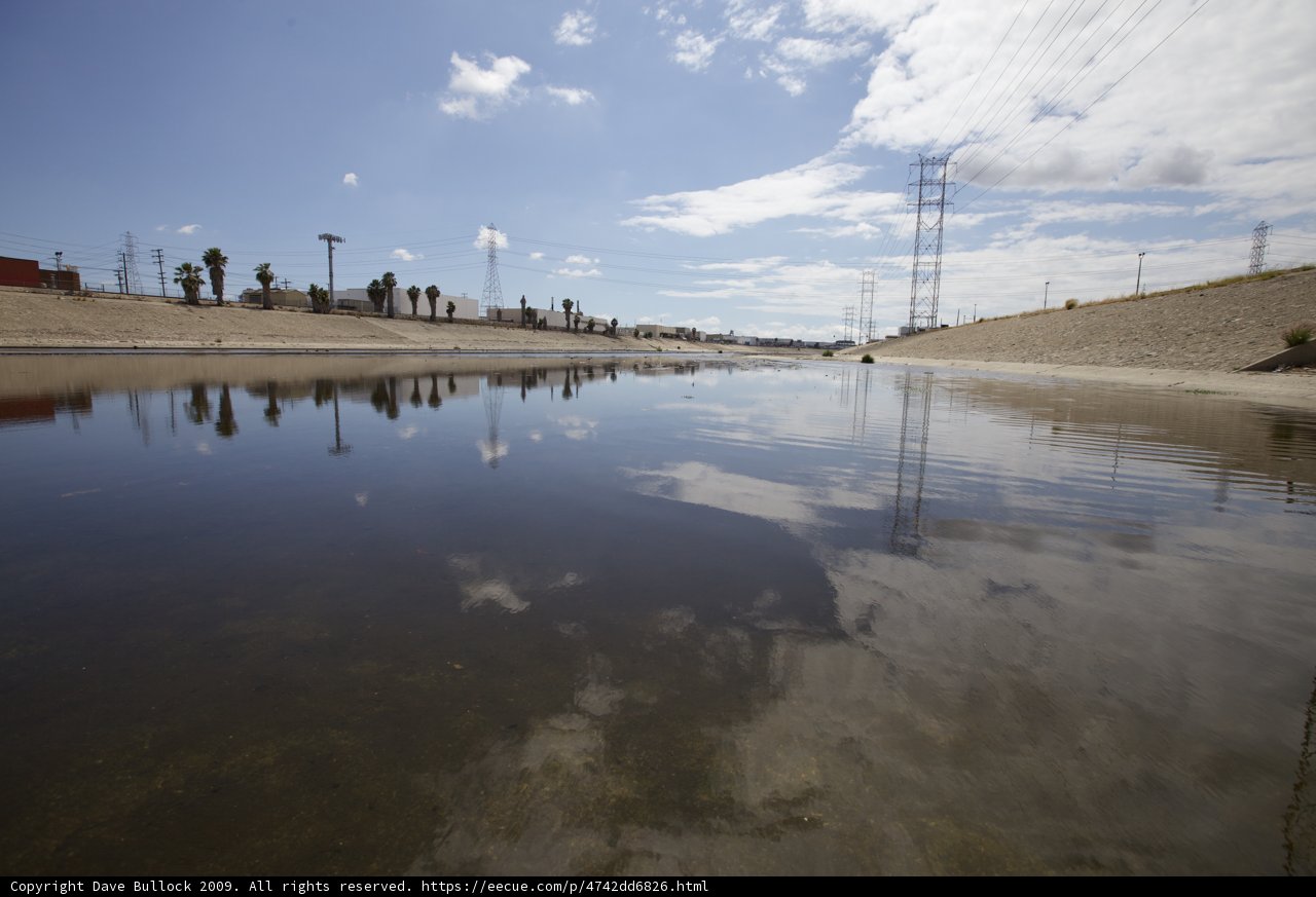 Reflections of Nature