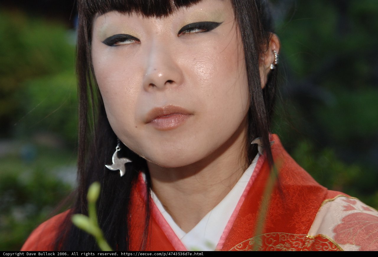 The Elegant Miyuki Y