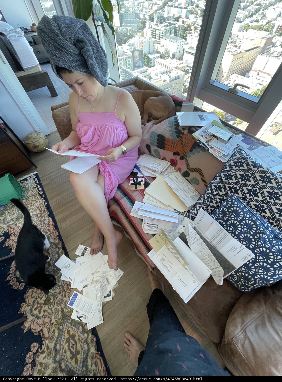Cozy afternoon with furry friends