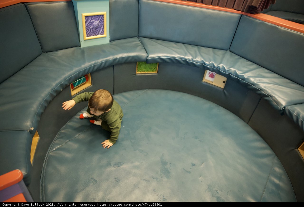 Monterey Bay Aquarium Adventure: The Young Explorer