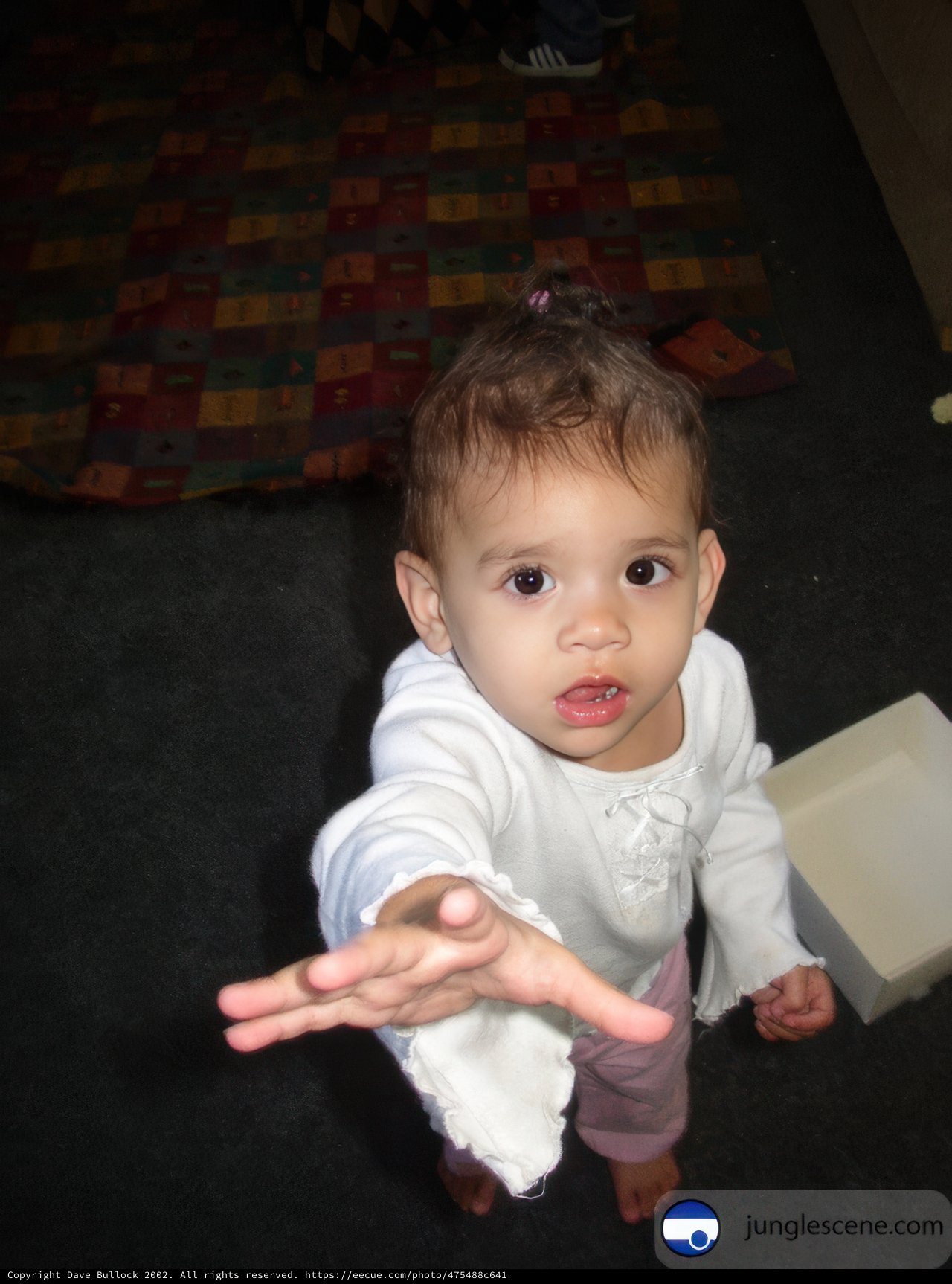 Little Miss Reacher